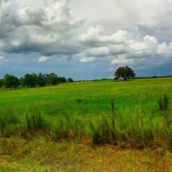 Scenic view of grassy field against cloudy sky