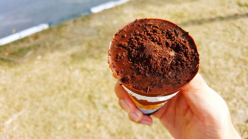 Chocolate ice cream on sunny day