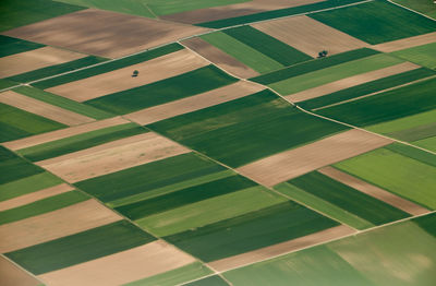 High angle view of agricultural field