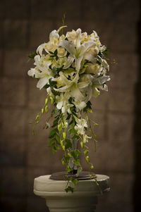 Close-up of white flowering plant in vase