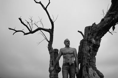 Low angle view of shirtless man on a bare olive tree against sky