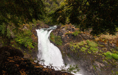 Scenic view of waterfall in forest