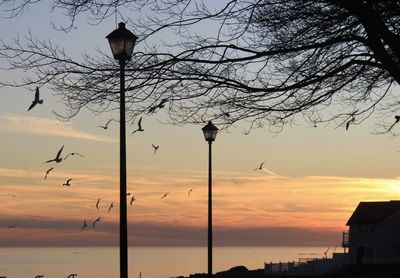 Low angle view of silhouette street light against sky at sunset