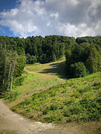 Scenic view of landscape against sky