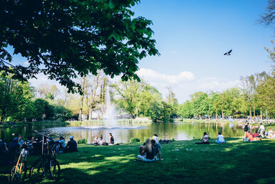 Trees in park