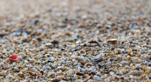 Full frame shot of pebbles on beach