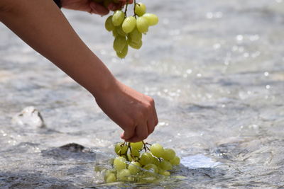 Low section of woman holding yellow flower on beach