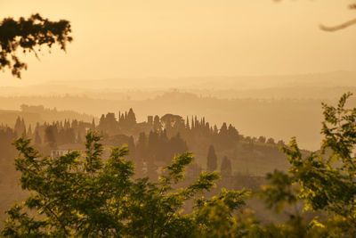 Scenic view of tuscany