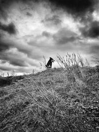 Silhouette man jumping on field against sky