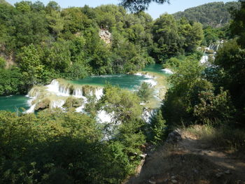 Scenic view of lake amidst trees in forest