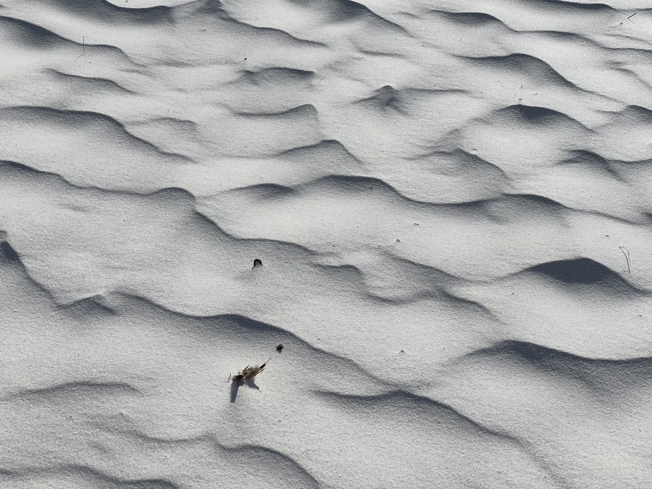 FULL FRAME SHOT OF FOOTPRINTS