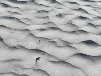 Close-up of footprints on wall