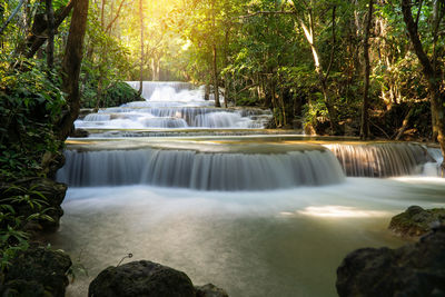 Scenic view of waterfall in forest