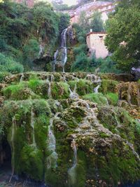 Scenic view of waterfall in forest against sky