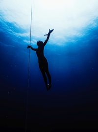 Freediver cnf