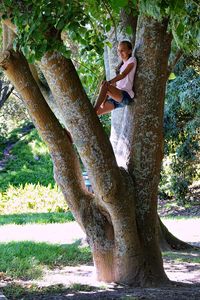 Low angle view of girl on tree trunk