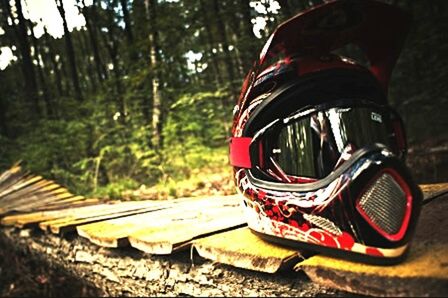 focus on foreground, close-up, tree, part of, day, outdoors, red, selective focus, car, shoe, transportation, sunlight, cropped, no people, abandoned, mode of transport, wood - material, sunglasses, metal, nature