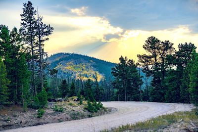 Road amidst trees against sky during sunset