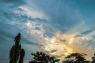 Low angle view of silhouette trees against sky