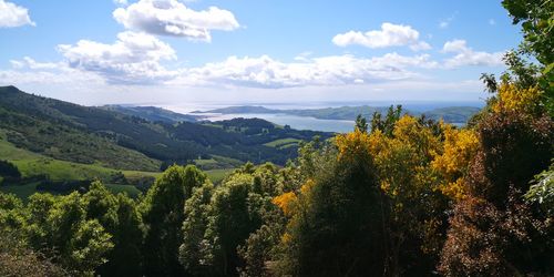 Panoramic shot of trees on landscape against sky