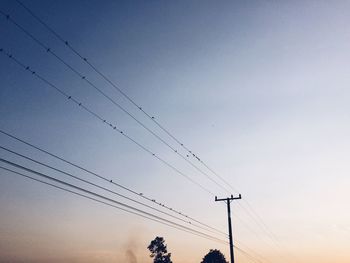 Low angle view of birds flying against sky