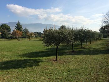 Scenic view of grassy field against cloudy sky