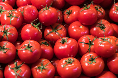 Red tomatoes in the market