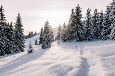 Snow covered landscape against sky