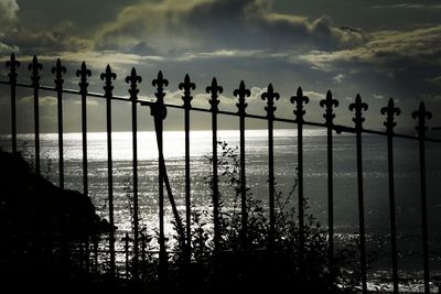 Silhouette plants by sea against sky during sunset