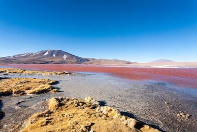 Scenic view of landscape against clear blue sky