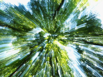 Low angle view of trees against sky
