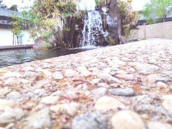 Stream flowing through rocks