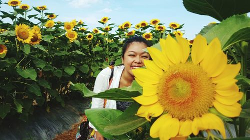 Portrait of woman with sunflower against yellow flowering plants