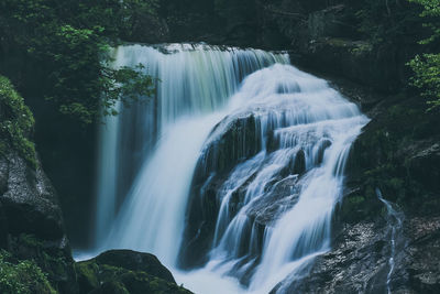 Scenic view of waterfall in forest