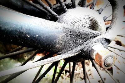 Close-up of rusty bicycle wheel