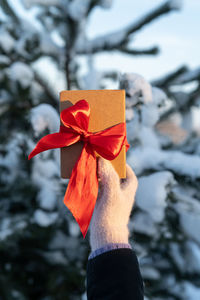Cropped hand of woman holding christmas tree