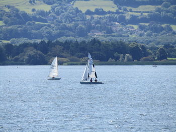 Boat sailing in sea