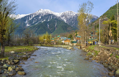 Scenic view of river by trees against sky