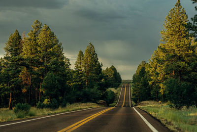 Road amidst trees against sky