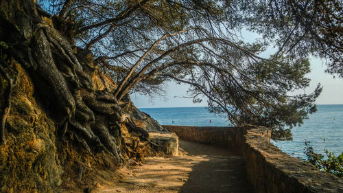 Footpath by sea against sky