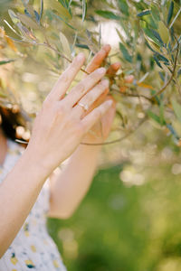 Close-up of woman hand on plant