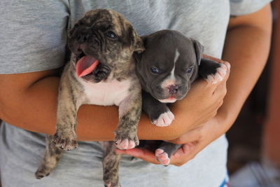 Midsection of woman with puppy