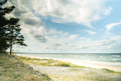 Scenic view of beach against sky