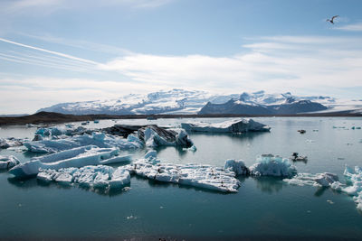 Scenic view of icebergs