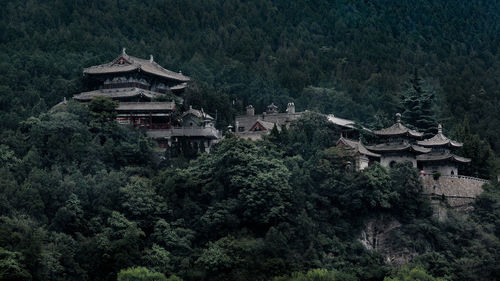 Traditional buildings amidst trees