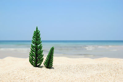 Artificial trees on sand at beach against clear sky