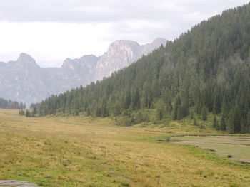 Scenic view of green landscape and mountains