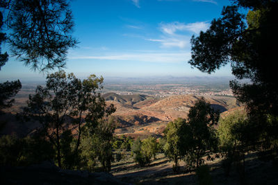 High angle view of trees on landscape against sky