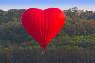 View of hot air balloon flying over trees in forest