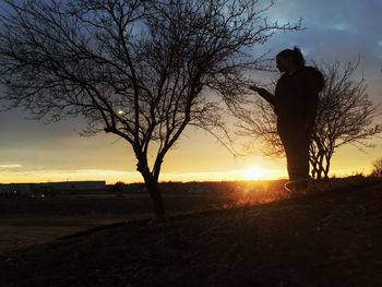 Silhouette of bare trees on landscape